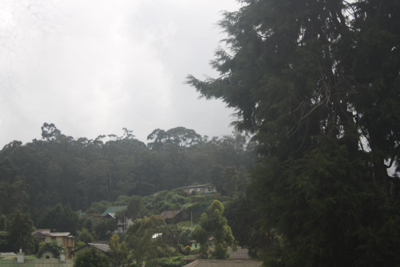 Dream Hill Homestay Nuwara Eliya Bagian luar foto
