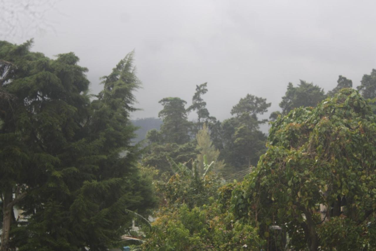 Dream Hill Homestay Nuwara Eliya Bagian luar foto