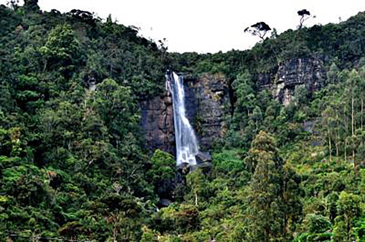 Dream Hill Homestay Nuwara Eliya Bagian luar foto