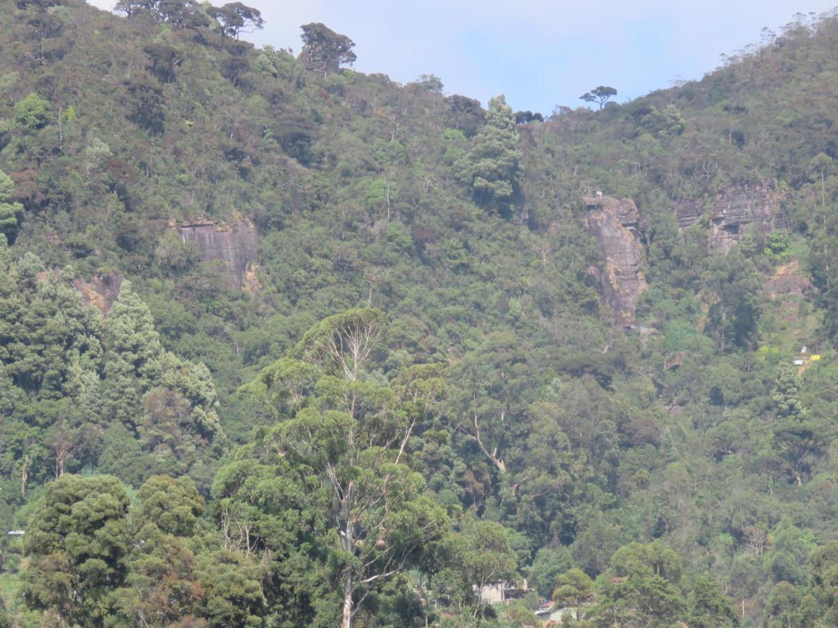 Dream Hill Homestay Nuwara Eliya Bagian luar foto