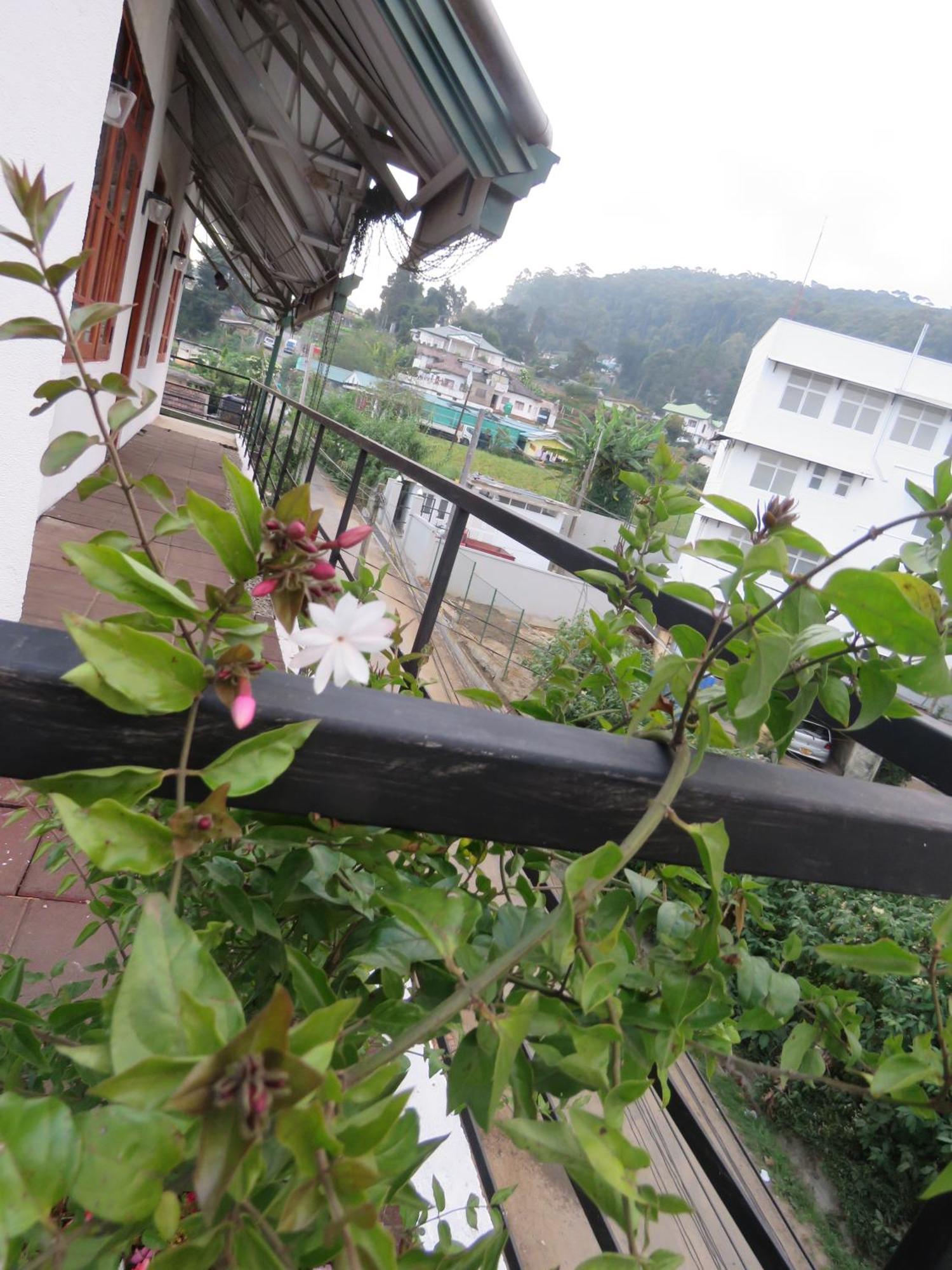 Dream Hill Homestay Nuwara Eliya Bagian luar foto